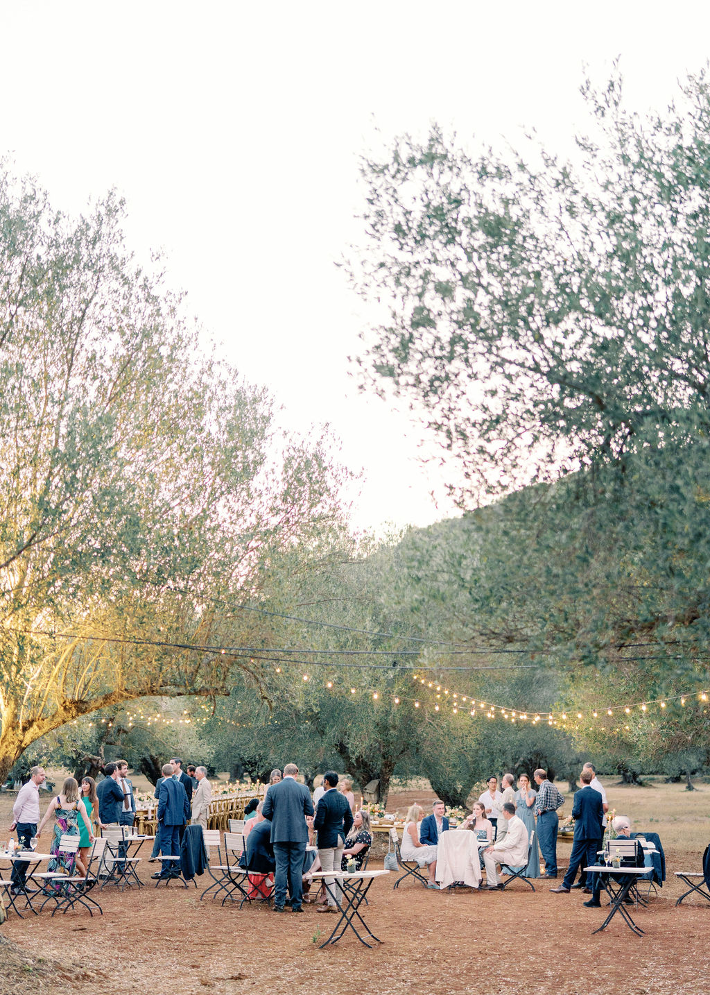 Olive Grove Wedding - Cocktail Hour