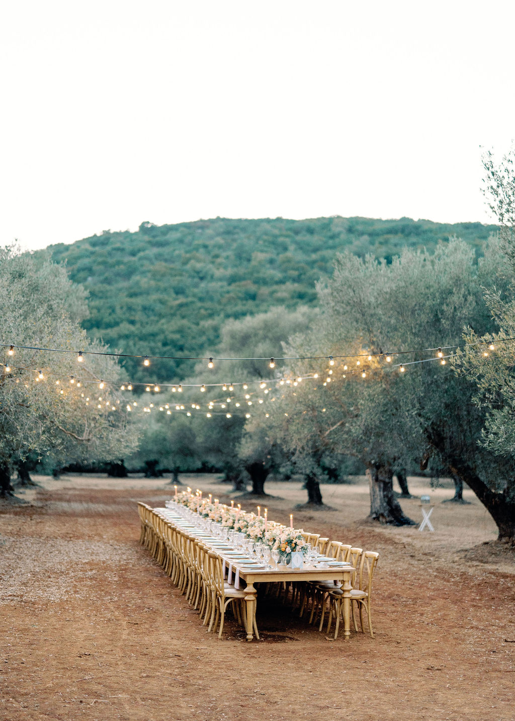 Olive Grove Wedding In Greece 