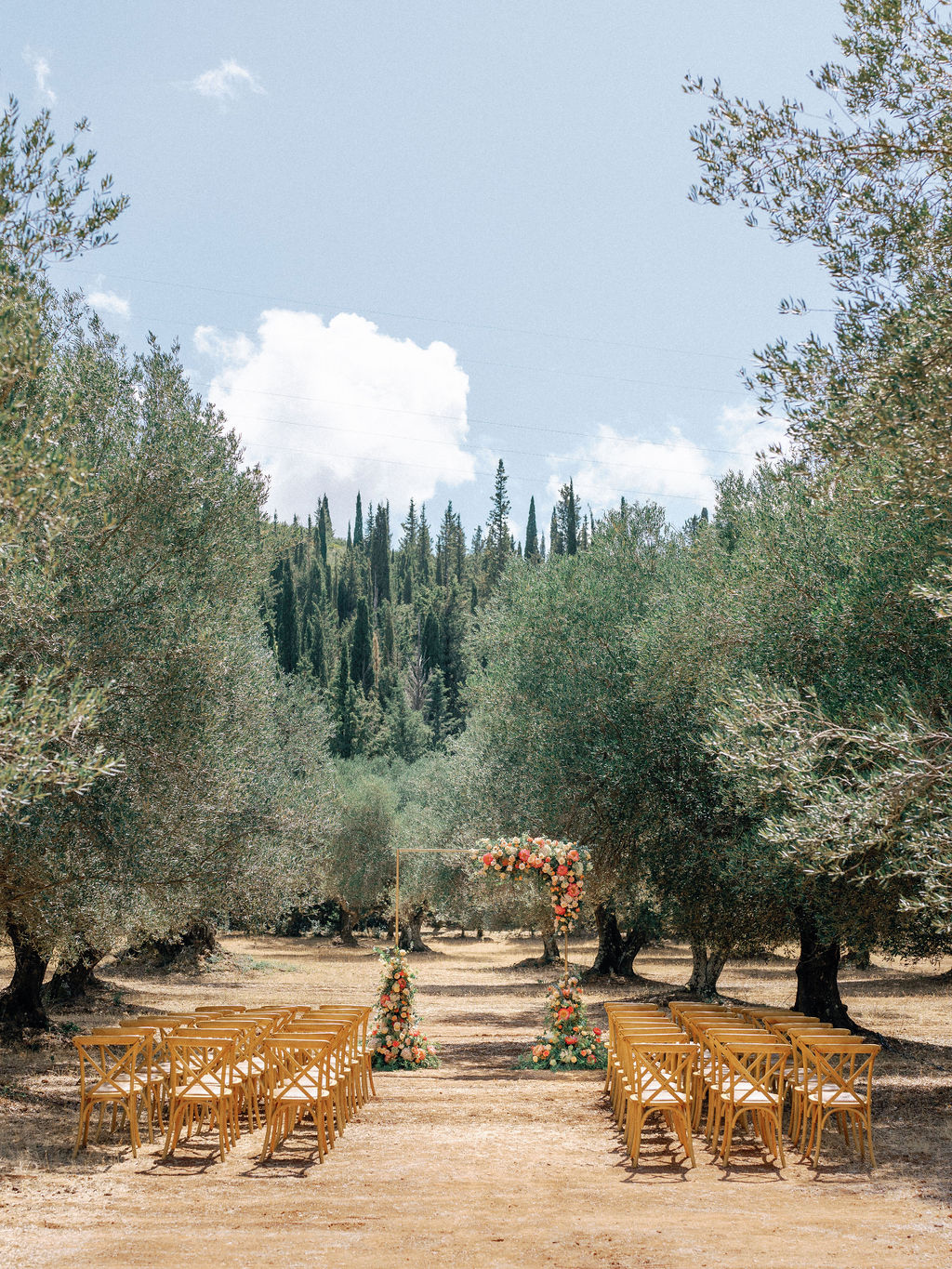 Olive Grove Wedding Ceremony In Greece 