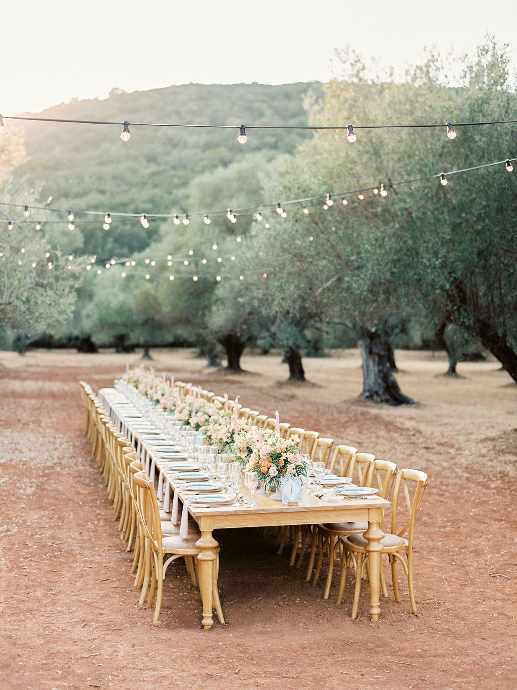 Olive Grove Wedding In Greece