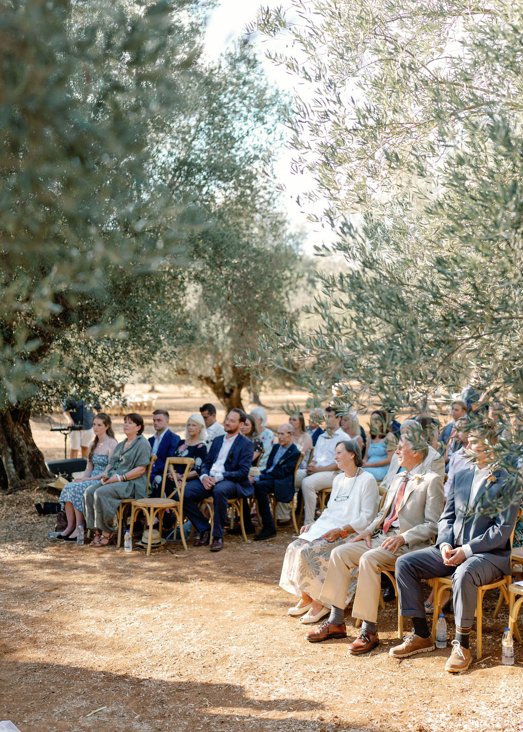 Olive Grove Wedding Ceremony
